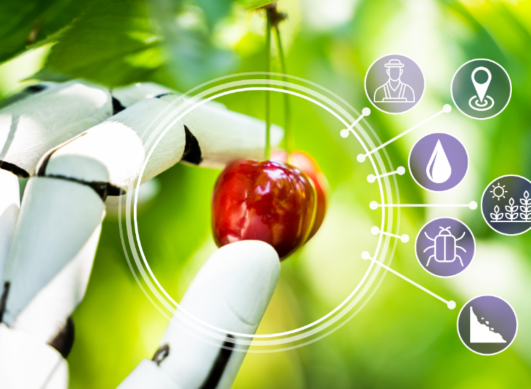 A robot hand picking a fruit from its tree