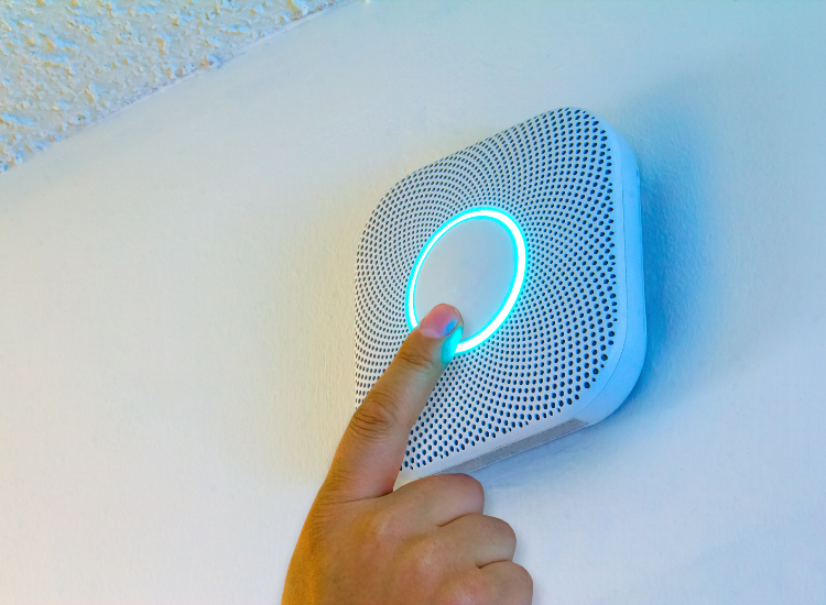 An AI fore and smoke detection alarm system